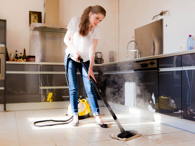 Парогенератор для уборки квартиры, как выбрать, как пользоваться парогенератором, как почистить парогенератор