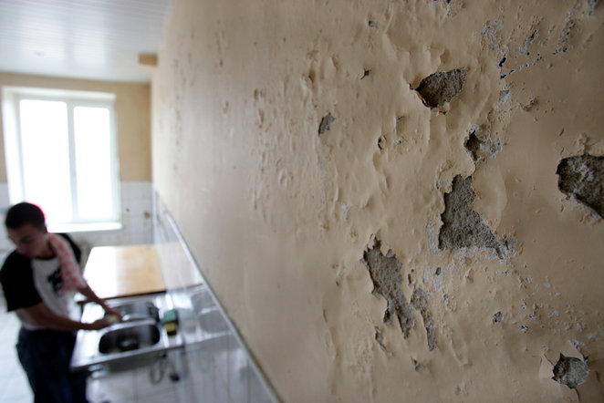 Плесень на стене в квартире: что делать, как избавиться от грибка на стенах